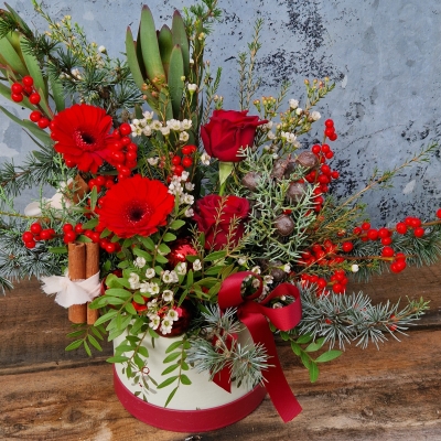 Yuletide & Mistletoe