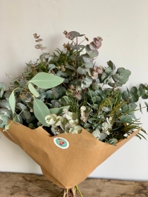 Mixed Eucalyptus