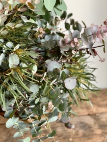 Mixed Eucalyptus