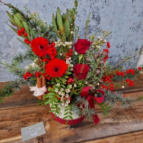 Yuletide & Mistletoe